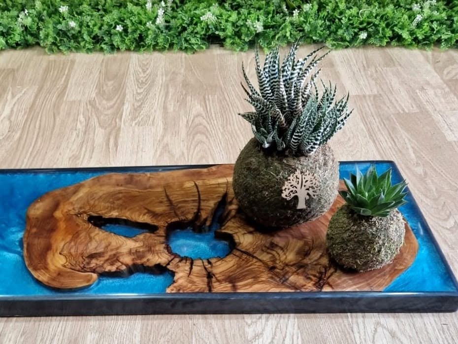 Kokedama presentate su un vassoio in legno e resina, pronte come bomboniere a Taranto