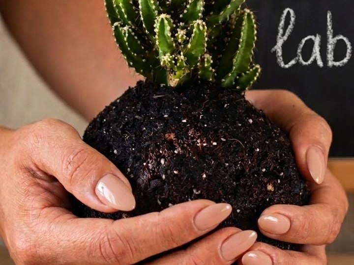 Mani che modellano una kokedama durante un laboratorio a Taranto