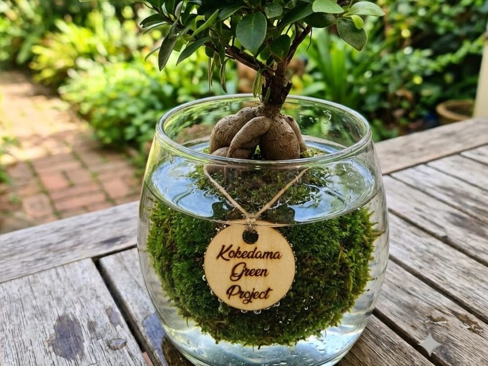 Kokedama con bonsai immersa in una ciotola di vetro con acqua per l'annaffiatura